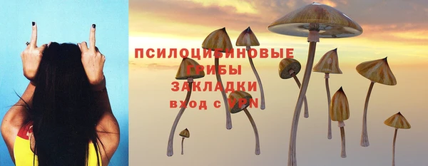 ГАЛЛЮЦИНОГЕННЫЕ ГРИБЫ Верхнеуральск