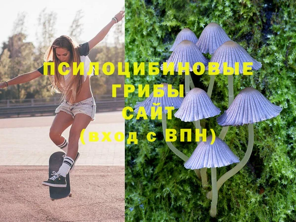 ГАЛЛЮЦИНОГЕННЫЕ ГРИБЫ Верхнеуральск