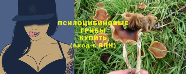 первитин Верхний Тагил